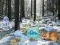 Trò chơi Winter Wonderland Forest Adventure trực tuyến