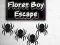 Trò chơi Floret Boy Escape trực tuyến