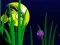 Trò chơi Flash Fish Freddie trực tuyến