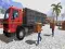 Trò chơi Asian offroad cargo truck driver trực tuyến