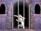 Trò chơi Victory Rabbit Escape trực tuyến
