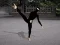 Trò chơi Ninja Academy trực tuyến