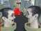 Trò chơi 2 Player: Skibidi Toilet Fight trực tuyến