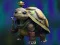 Trò chơi Isolated Turtle Escape trực tuyến