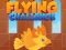 Trò chơi Flying Challenge trực tuyến