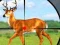 Trò chơi Wild Hunt Hunting Games 3D trực tuyến