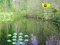 Trò chơi Sunlight Forest Adventure trực tuyến