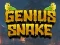 Trò chơi Genius Snake trực tuyến