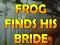 Trò chơi Frog Finds His Bride trực tuyến