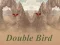 Trò chơi Double Bird trực tuyến