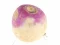 Trò chơi Turnip trực tuyến