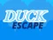 Trò chơi Duck Escape trực tuyến