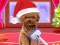 Trò chơi Christmas ASMR Makerover Salon trực tuyến