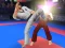 Trò chơi Karate Fighter trực tuyến
