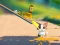 Trò chơi Cat Challenge trực tuyến