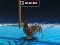 Trò chơi Animal Impossible Track Rush trực tuyến