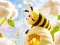 Trò chơi Find The Differences: Little Bee's Adventure trực tuyến