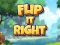 Trò chơi Flip It Right trực tuyến