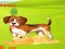 Trò chơi Bunny Key Quest trực tuyến