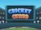 Trò chơi Cricket Craze trực tuyến