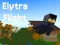 Trò chơi Elytra Flight trực tuyến