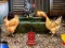 Trò chơi Poultry Farm Easter Escape trực tuyến