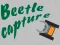 Trò chơi Beetle Capture trực tuyến