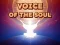 Trò chơi Voice Of The Soul trực tuyến