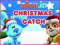 Trò chơi Nick Jr. Christmas Catch trực tuyến