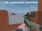 Trò chơi CS: Command Snipers trực tuyến