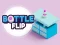 Trò chơi Bottle Flip trực tuyến
