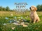 Trò chơi Playful Puppy Outdoor Puzzle trực tuyến