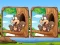 Trò chơi Jungle 5 Diffs trực tuyến