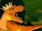 Trò chơi The Dino King trực tuyến
