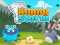 Trò chơi Bunny Storm trực tuyến