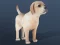 Trò chơi IDLE Pet trực tuyến