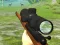 Trò chơi Hunter 3D trực tuyến