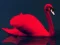 Trò chơi Love Birds Puzzle trực tuyến