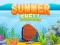 Trò chơi Summer Shell trực tuyến