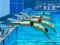 Trò chơi Swimming Pool Race trực tuyến