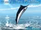 Trò chơi Azure Sea Fishing trực tuyến