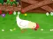 Trò chơi Stupid Chicken trực tuyến