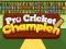 Trò chơi Pro Cricket Champion trực tuyến