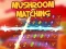Trò chơi Mushroom matching trực tuyến