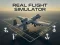 Trò chơi Real Flight Simulator trực tuyến