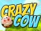Trò chơi Crazy Cow trực tuyến