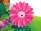 Trò chơi Funny Flowers Jigsaw trực tuyến