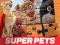 Trò chơi DC League of Super Pets Jigsaw Puzzle trực tuyến