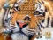 Trò chơi Jigsaw Puzzles Classic trực tuyến