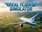 Trò chơi Real Flight Simulator trực tuyến